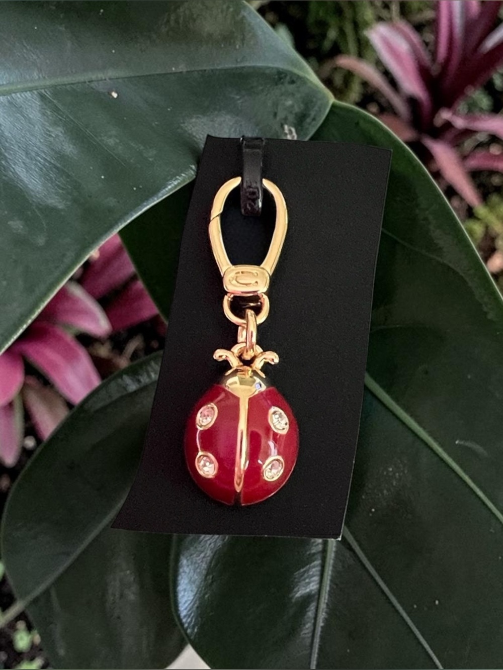 Coach Ladybug Charm - Picture 4 of 5